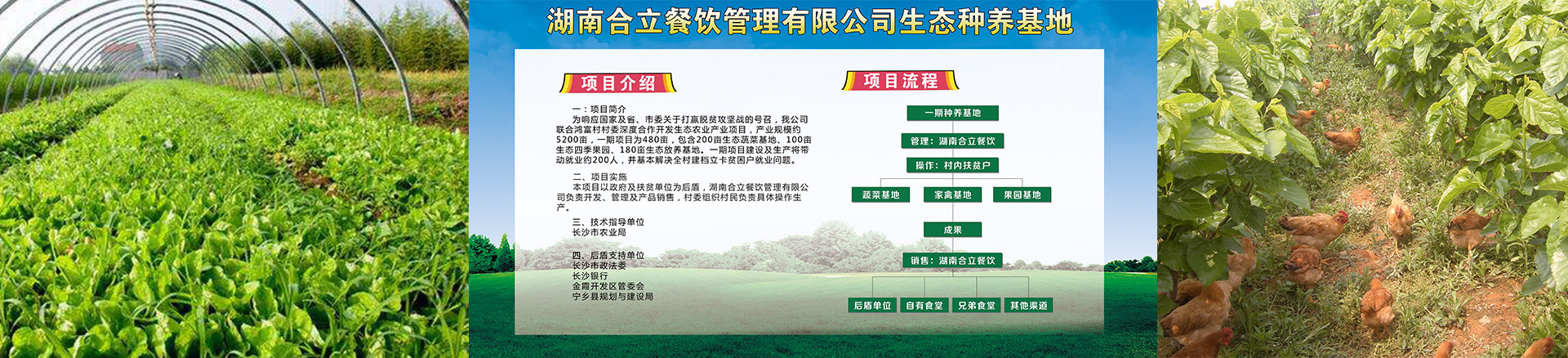 食堂承包|食堂托管|湖南食堂承包|長(zhǎng)沙食堂承包|蔬菜配送|廚具安裝|湖南合立餐飲管理有限公司