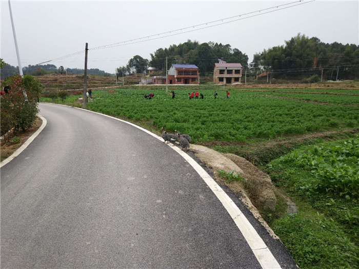 長(zhǎng)沙食堂托管,湖南食堂承包,生態(tài)養(yǎng)殖,蔬菜配送,物料配送,廚房設(shè)計(jì)